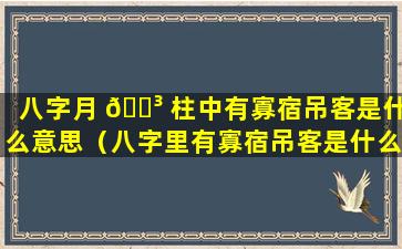 八字月 🐳 柱中有寡宿吊客是什么意思（八字里有寡宿吊客是什么意思）